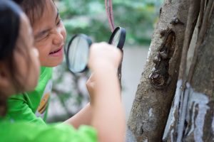  giáo dục sớm cho trẻ 2